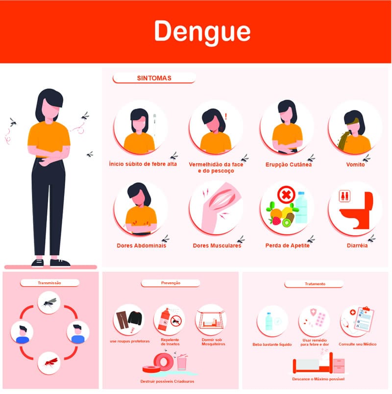  A DENGUE MATA! SINTOMAS, TRANSMISSÃO, PREVENÇÃO E TRATAMENTO